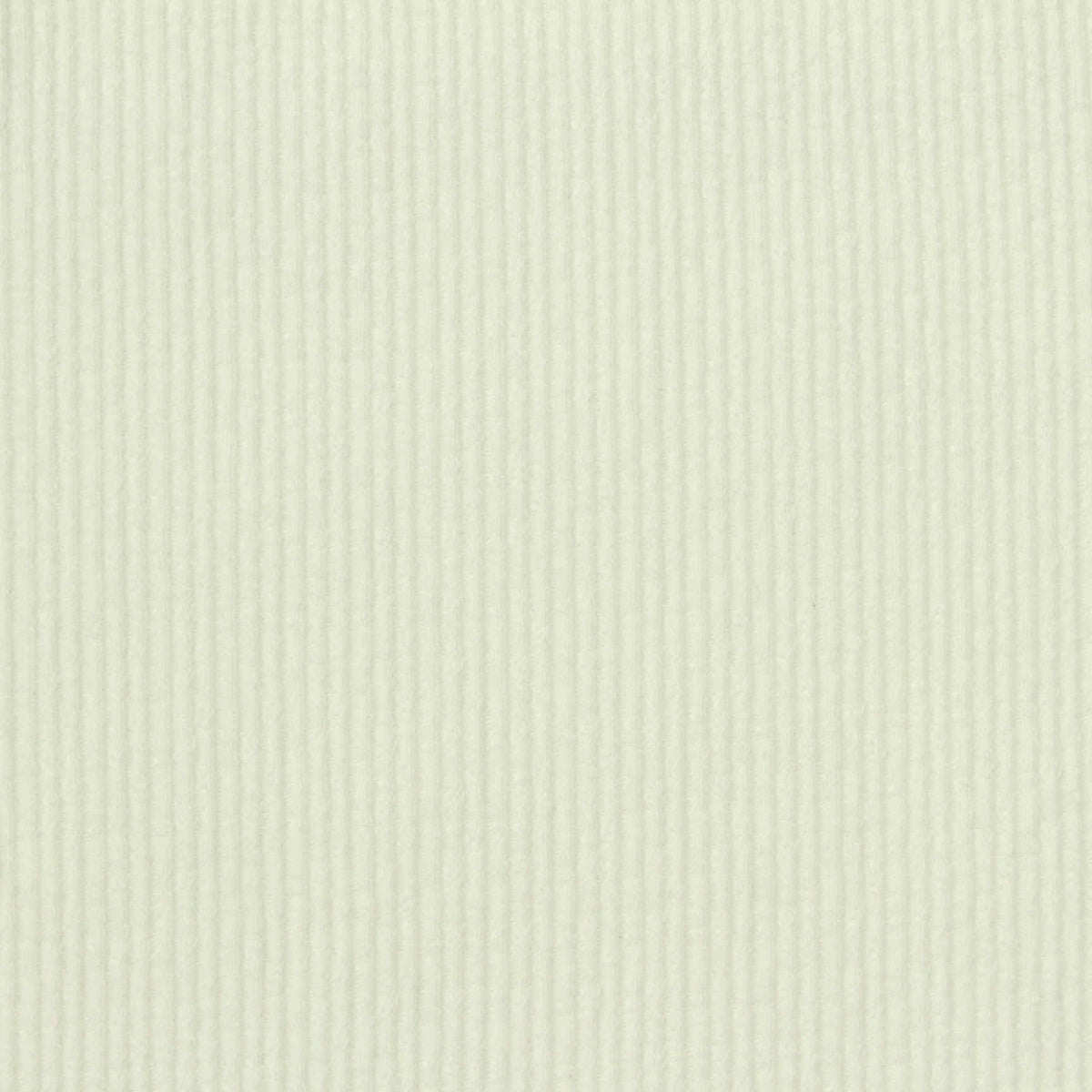 Jacquard Cotton Stretch Rib Knit Fabric, 220 gsm, 115 cm — Khaki