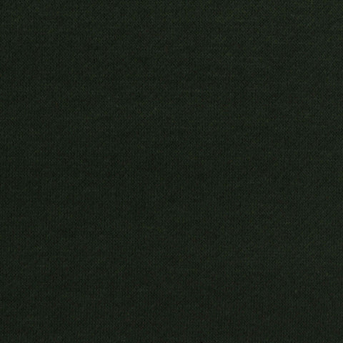 Brushed Cotton Polyester French Terry Fabric, 260 gsm, 170 cm — Green, ref EF-266275