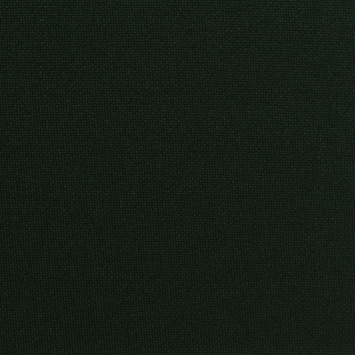 100% Polyester Knit Fabric, 250 gsm, 160 cm — Green