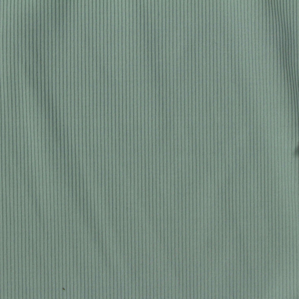 Nylon Stretch Rib Knit Fabric, 160 gsm, 135 cm — Green