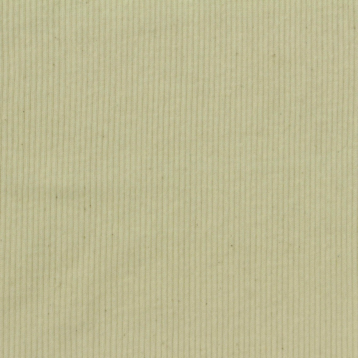 Cotton Stretch Rib Knit Fabric, 150 gsm, 140 cm — Khaki