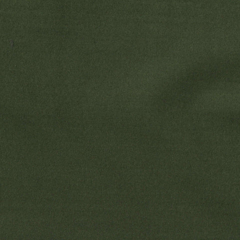 Brushed Polyester Stretch Milk Silk Knit Fabric, 260 gsm, 163 cm — Green