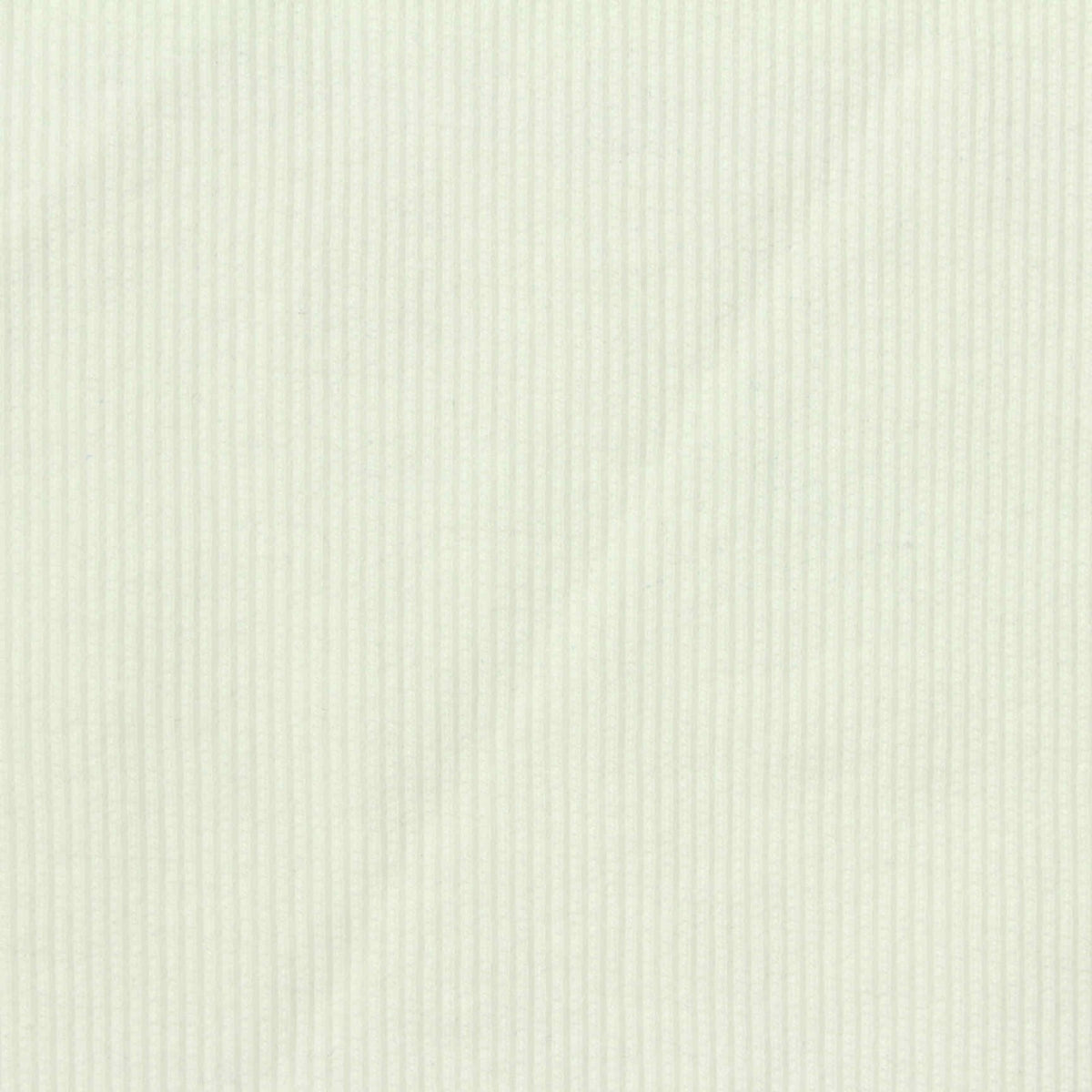 Polyester Cotton Stretch Rib Knit Fabric, 400 gsm, 125 cm — Beige