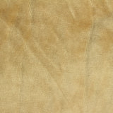 Cotton Polyester Velvet Fabric, 250 gsm, 170 cm — Khaki