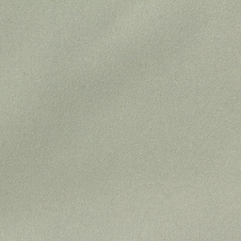 100% Polyester Fleece Fabric, 430 gsm, 165 cm — Green