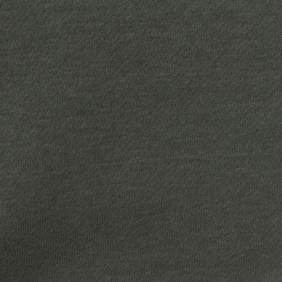 Brushed Cotton Polyester French Terry Fabric, 250 gsm, 170 cm — Green