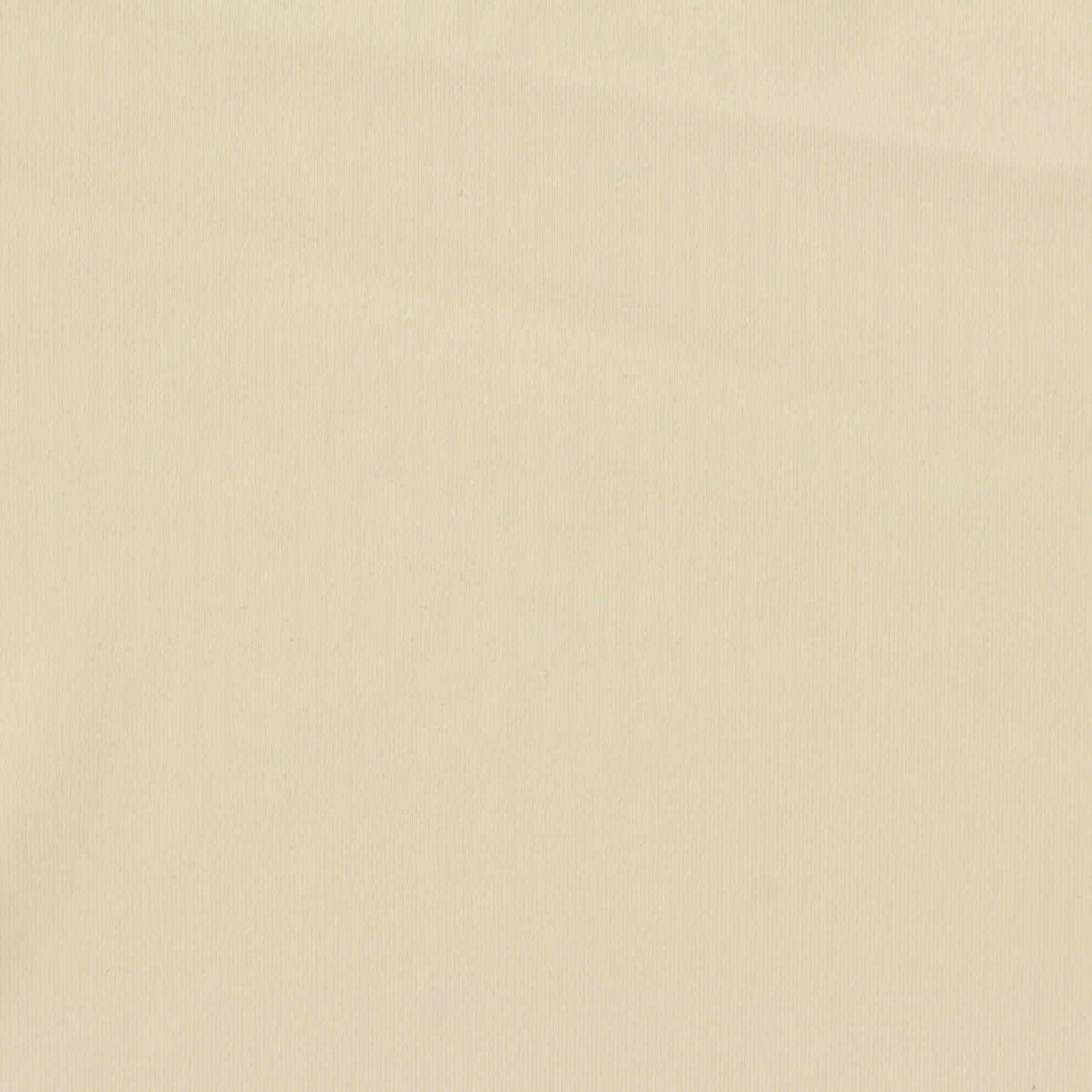 Nylon Stretch Interlock Knit Fabric, 180 gsm, 155 cm — Beige