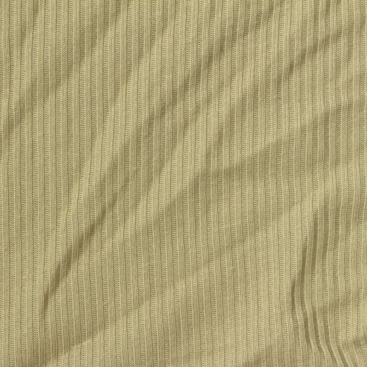 Polyester Stretch Rib Knit Fabric, 200 gsm, 165 cm — Khaki