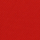 100% Polyester Birdseye Knit Fabric, 150 gsm, 165 cm — Red — texture
