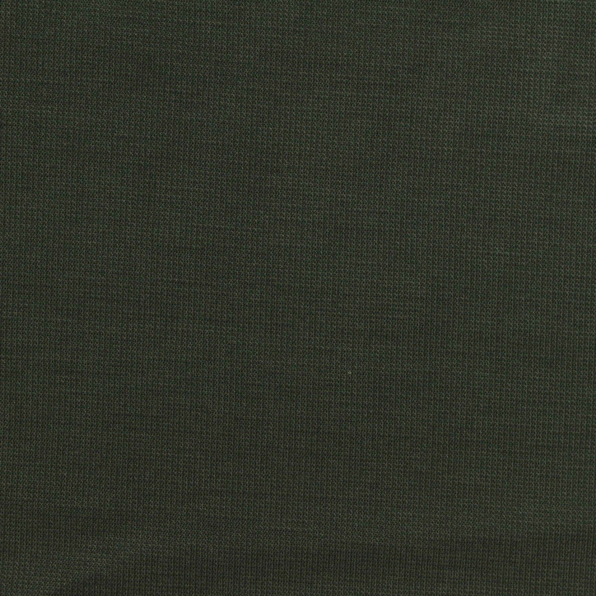 Washed Modal Polyester Ponte Knit Fabric, 235 gsm, 160 cm — Green