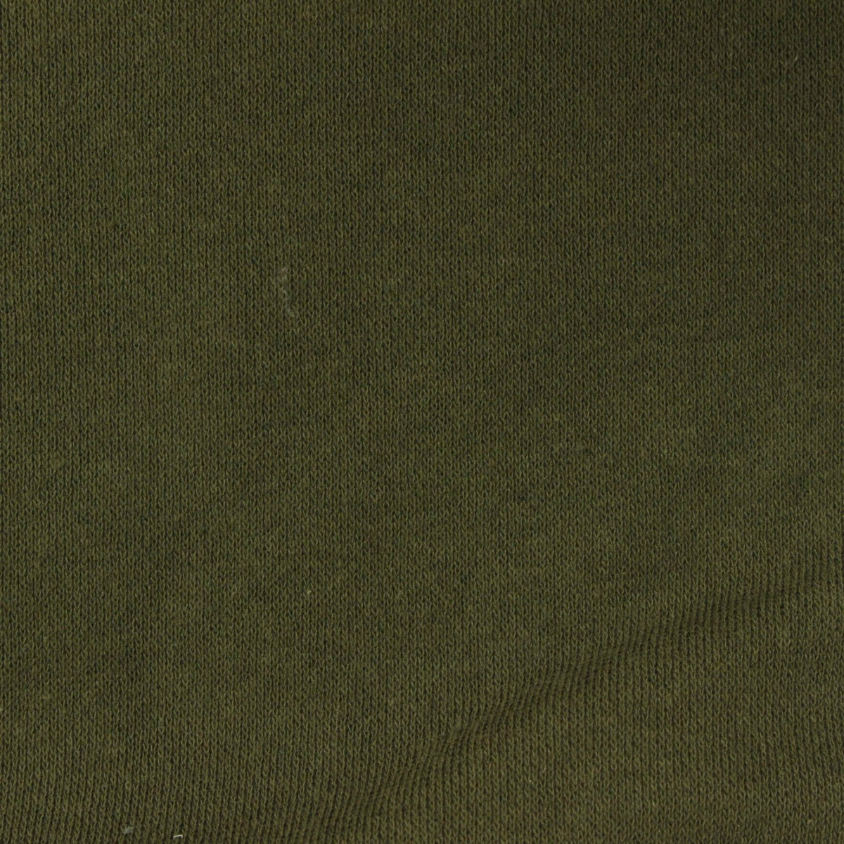 Brushed Cotton Polyester French Terry Fabric, 259 gsm, 195 cm — Green