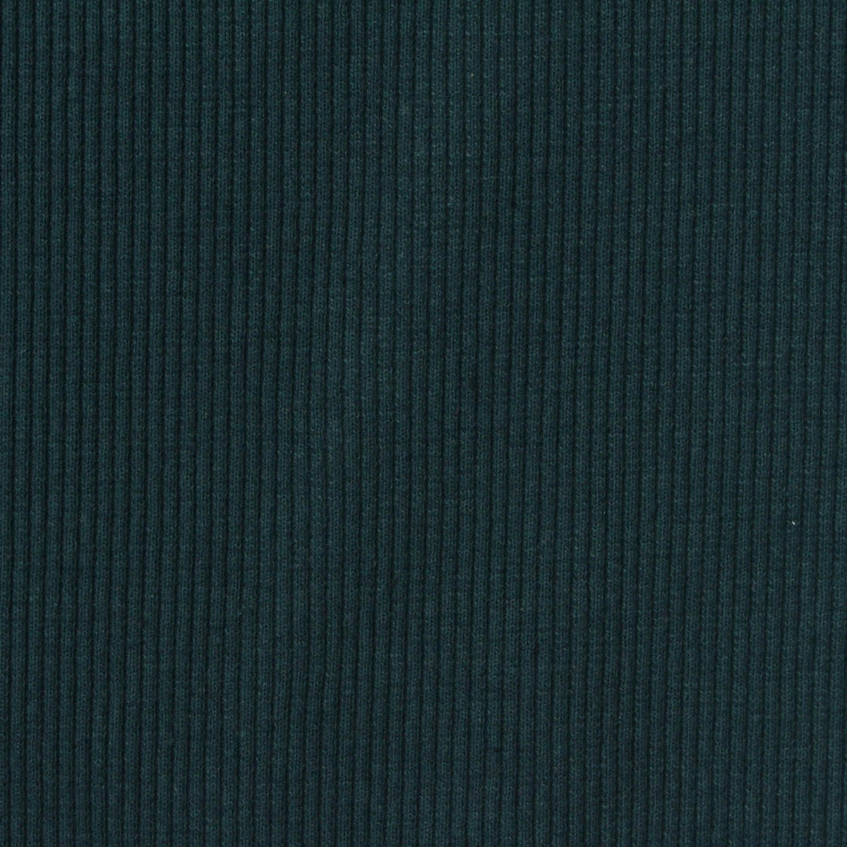 Cotton Polyester Stretch Rib Knit Fabric, 369 gsm, 145 cm — Green, ref EF-267645