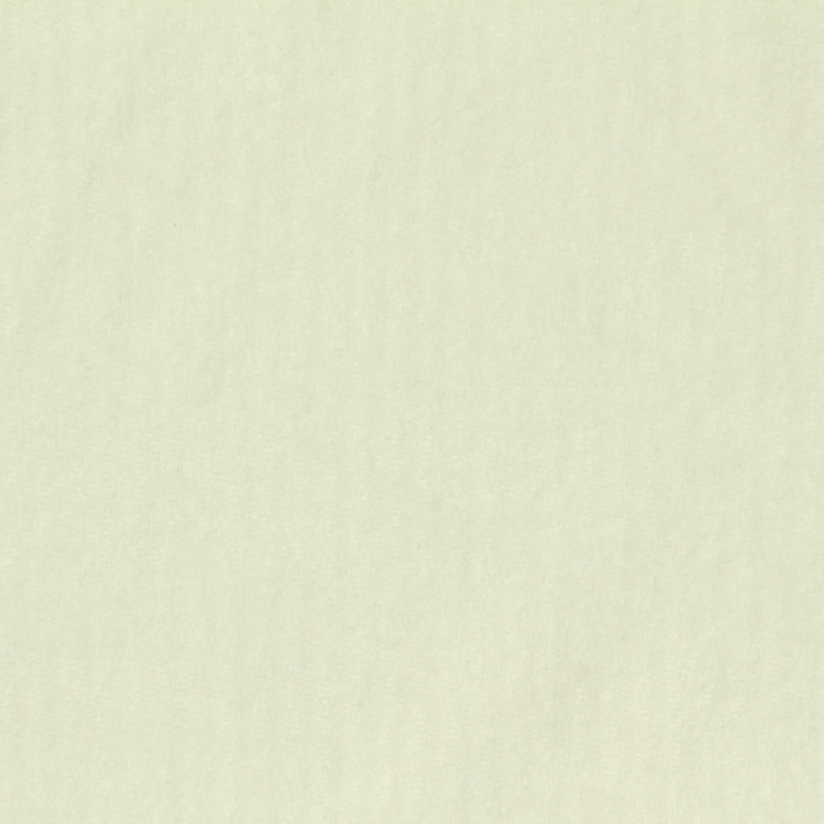 Pale Cream Brushed Warp Knit, Polyester