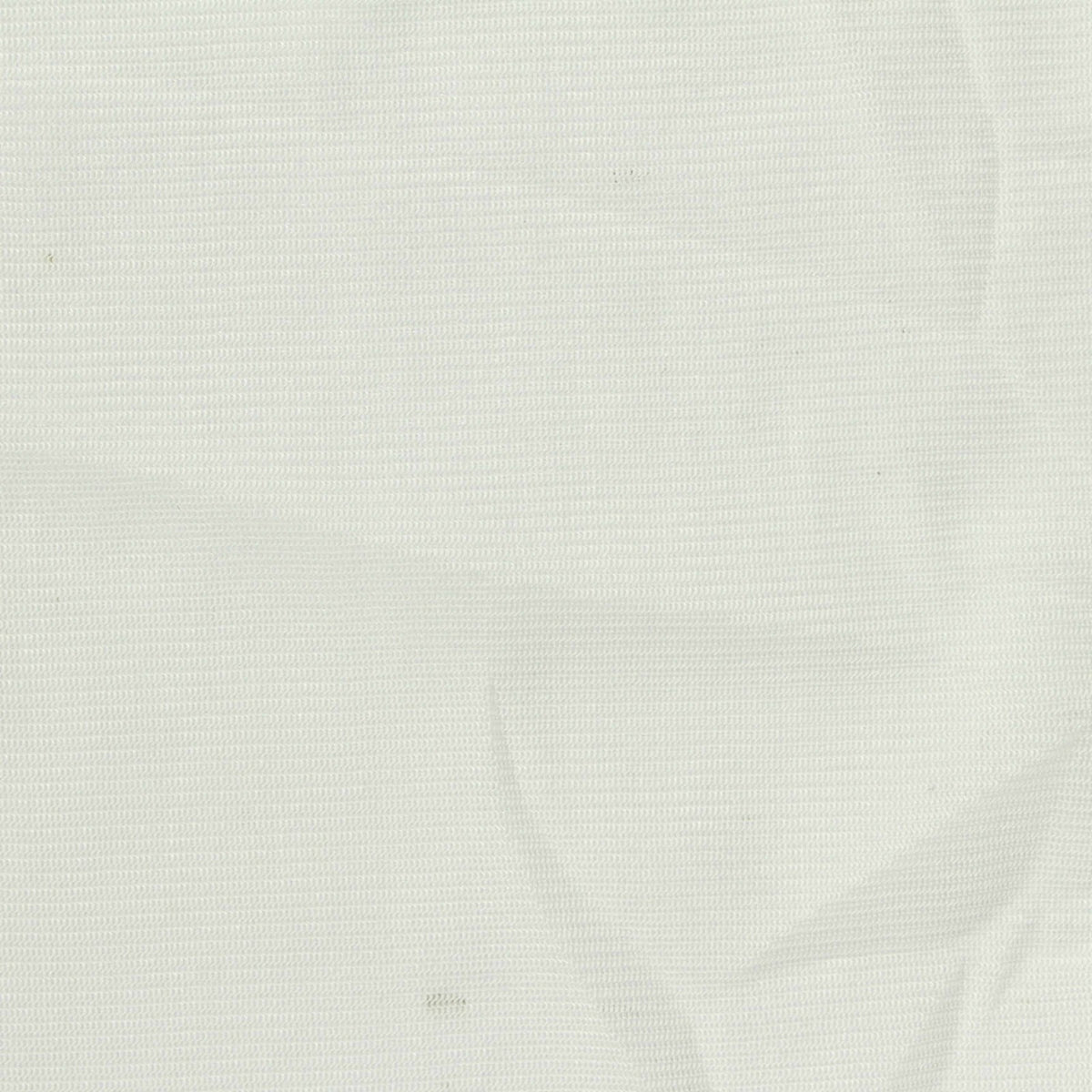 Polyester Stretch Mesh Fabric, 94 gsm, 170 cm — White