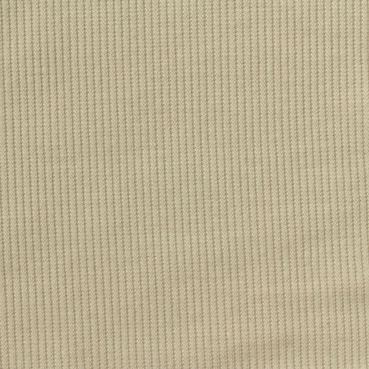 Polyester Cotton Stretch Rib Knit Fabric, 262 gsm, 130 cm — Beige