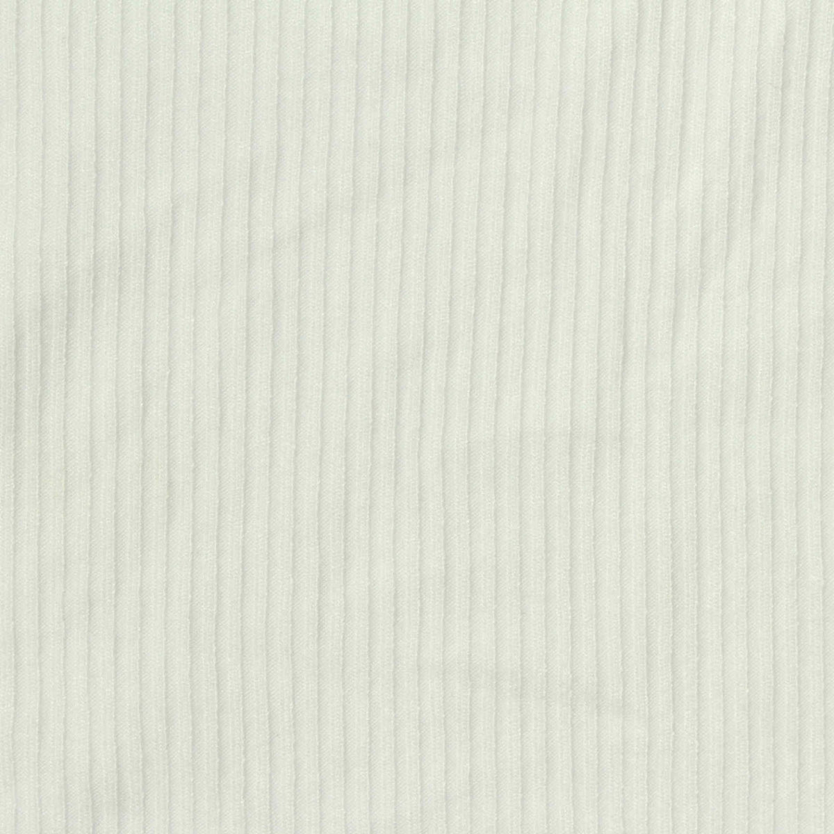 Viscose Stretch Rib Knit Fabric, 280 gsm, 125 cm — White