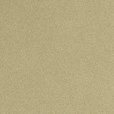 Polyester Stretch Velvet Fabric, 282 gsm, 185 cm — Khaki — texture