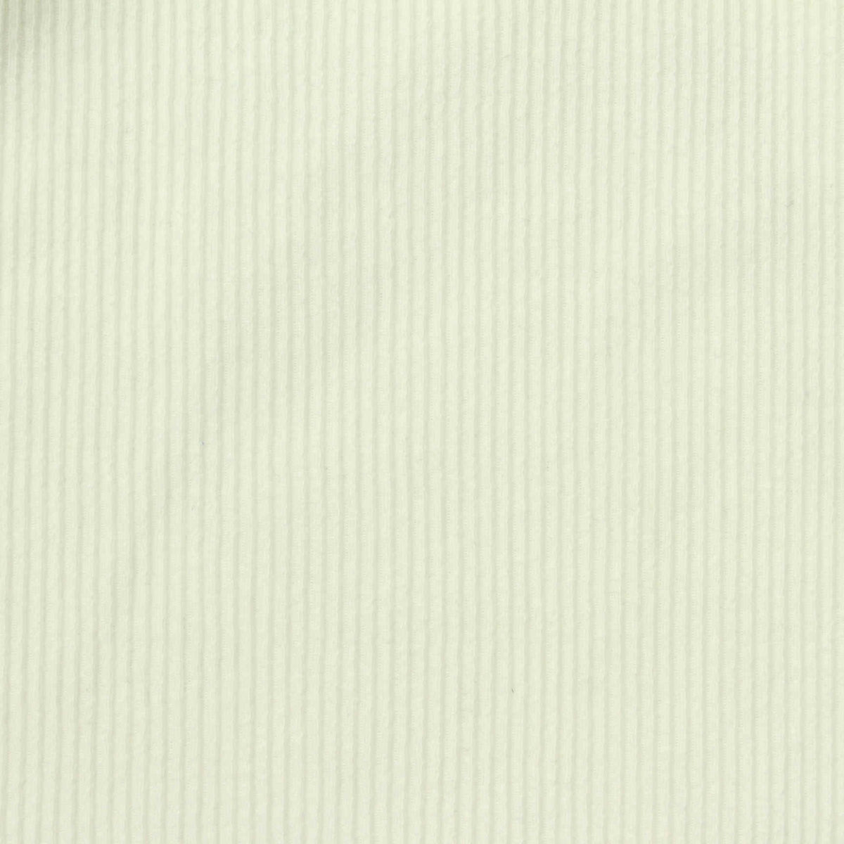 Cotton Stretch Rib Knit Fabric, 290 gsm, 150 cm — Beige