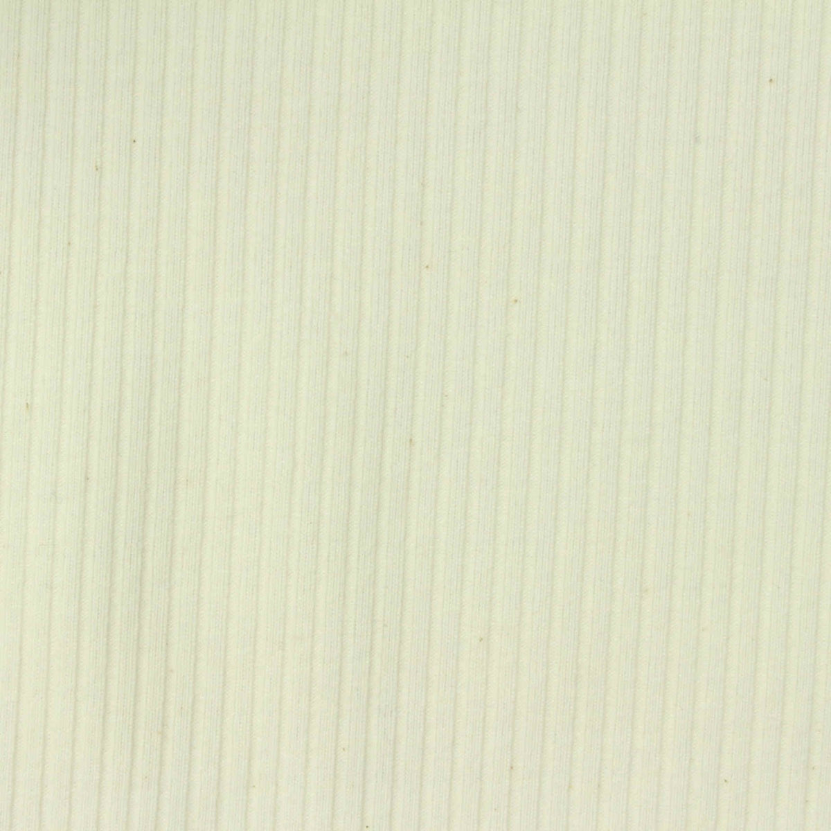 Cotton Polyester Stretch Rib Knit Fabric, 190 gsm, 154 cm — Beige