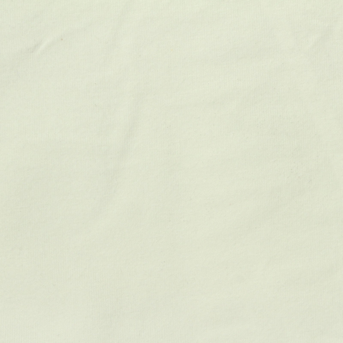 Cotton Stretch Jersey Knit Fabric, 200 gsm, 178 cm — Green
