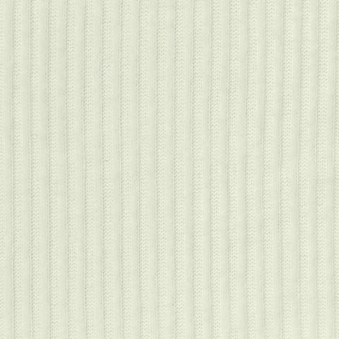 Brushed Polyester Viscose Stretch Rib Knit Fabric, 270 gsm, 150 cm — White