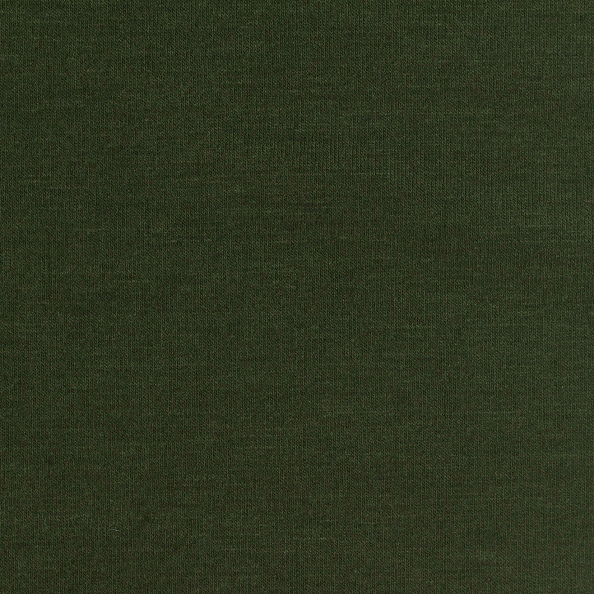 Brushed Polyester Modal Stretch French Terry Fabric, 280 gsm, 160 cm — Green