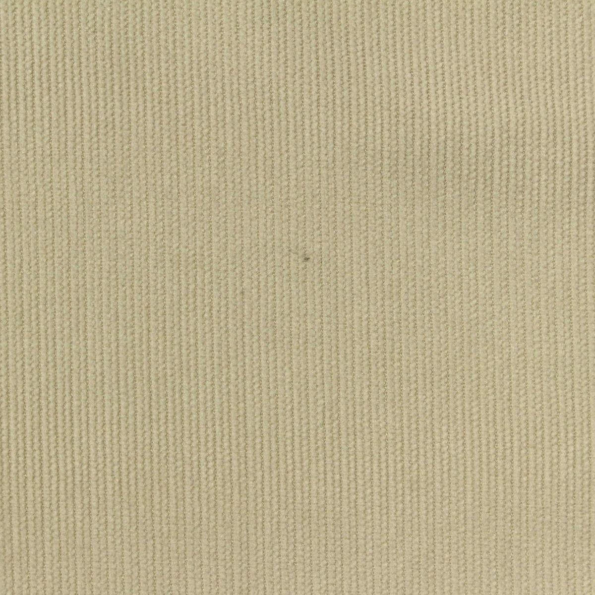 100% Polyester Knit Fabric, 200 gsm, 150 cm — Beige