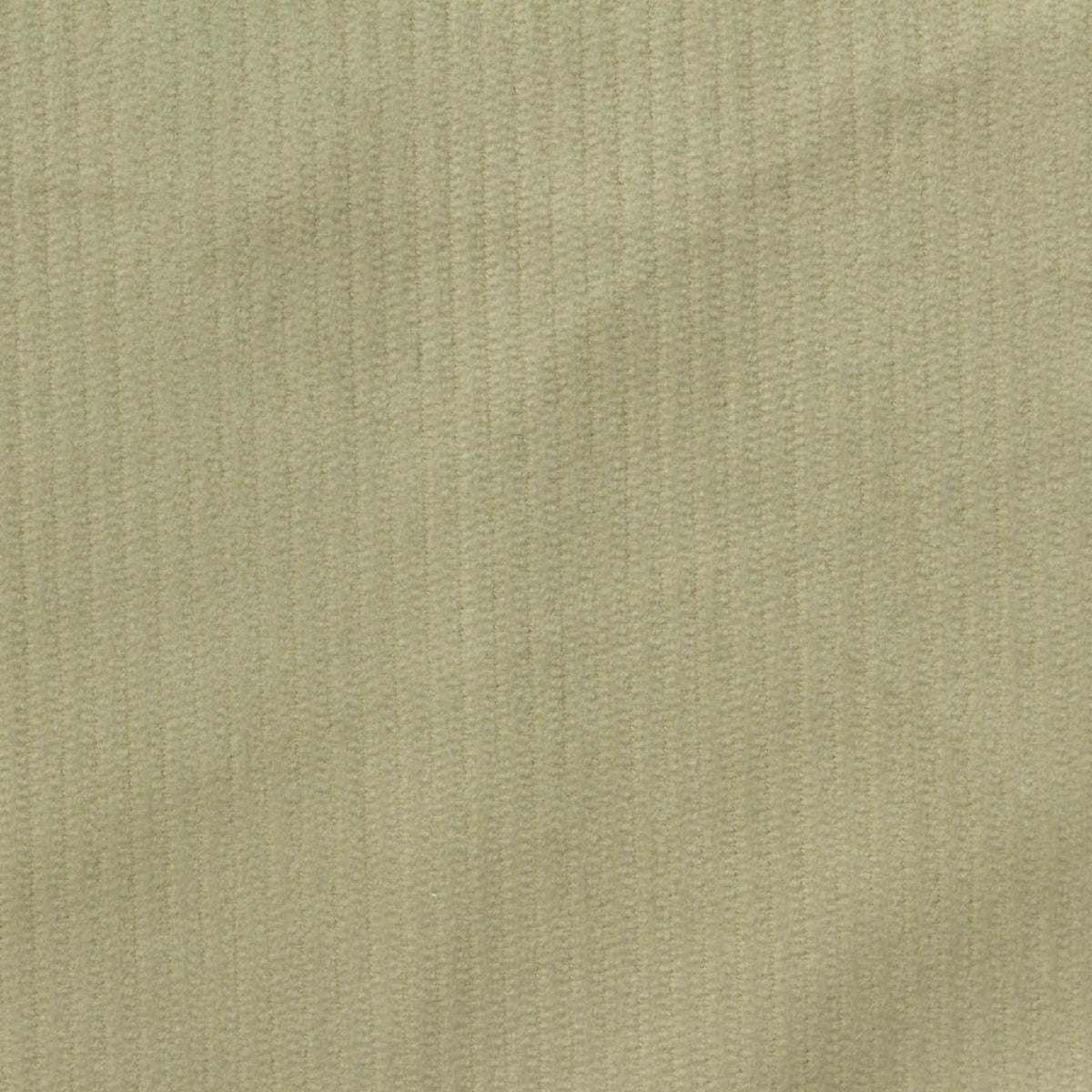 100% Polyester Corduroy Fabric, 180 gsm, 150 cm — Khaki