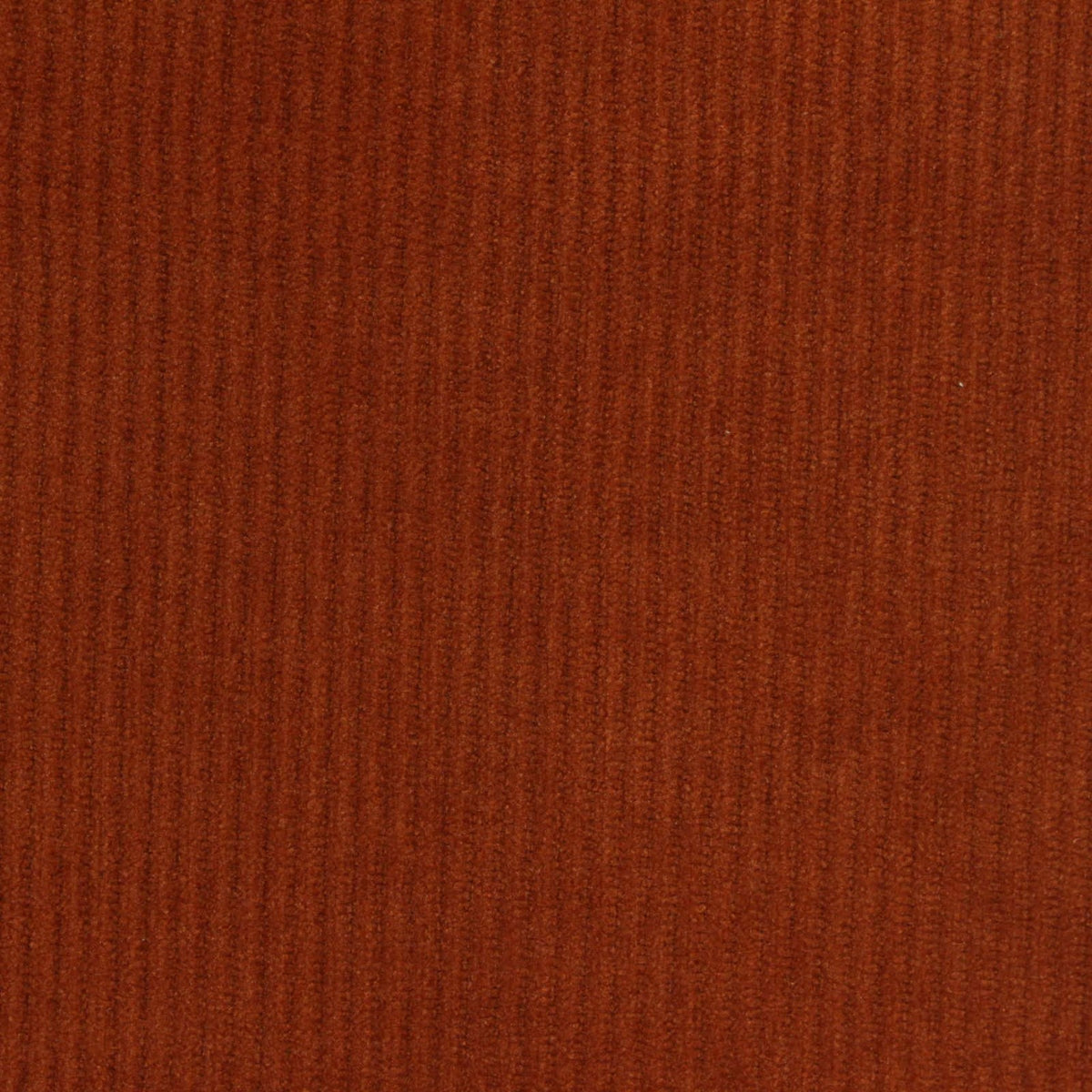 100% Polyester Knit Fabric, 270 gsm, 150 cm — Orange
