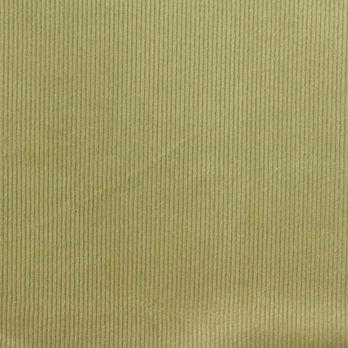 Polyester Stretch Knit Fabric, 200 gsm, 185 cm — Khaki
