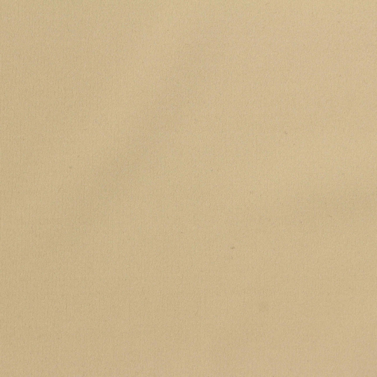Nylon Stretch Interlock Knit Fabric, 190 gsm, 160 cm — Beige