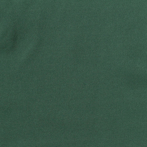 Polyester Stretch Milk Silk Knit Fabric, 140 gsm, 160 cm — Green, ref EF-268594