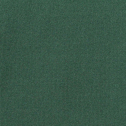 Polyester Stretch Milk Silk Knit Fabric, 140 gsm, 160 cm — Green, ref EF-268594