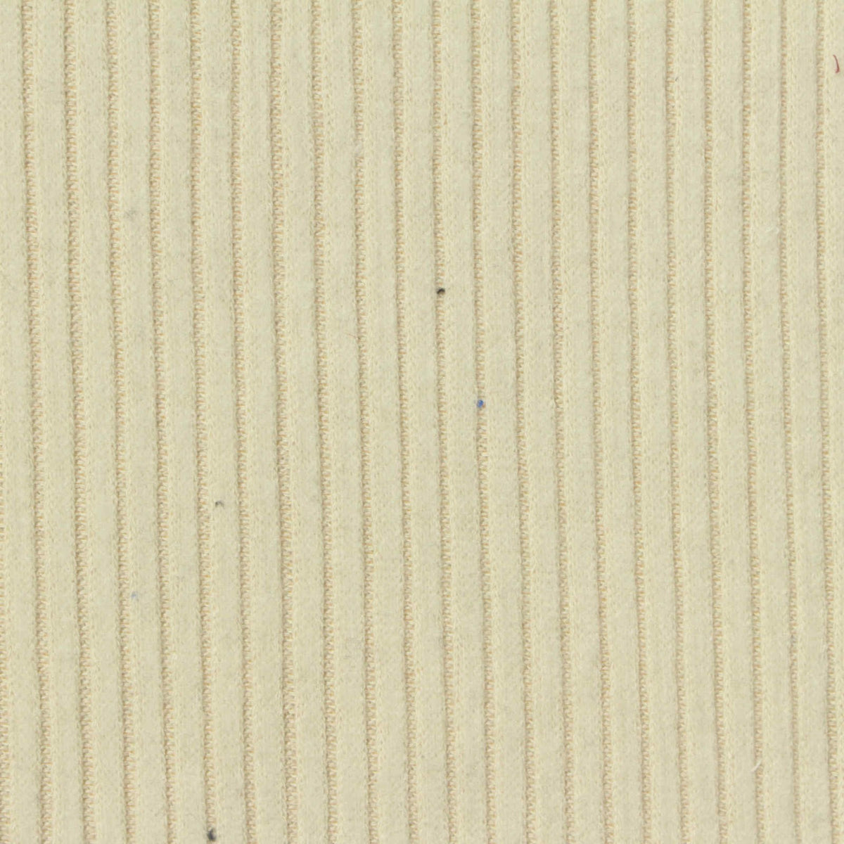 Brushed Polyester Viscose Stretch Rib Knit Fabric, 280 gsm, 160 cm — Beige