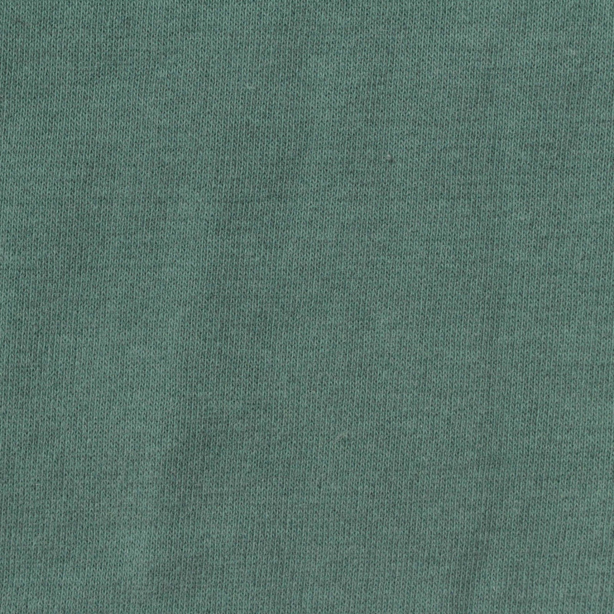 Brushed Cotton Polyester French Terry Fabric, 260 gsm, 165 cm — Green