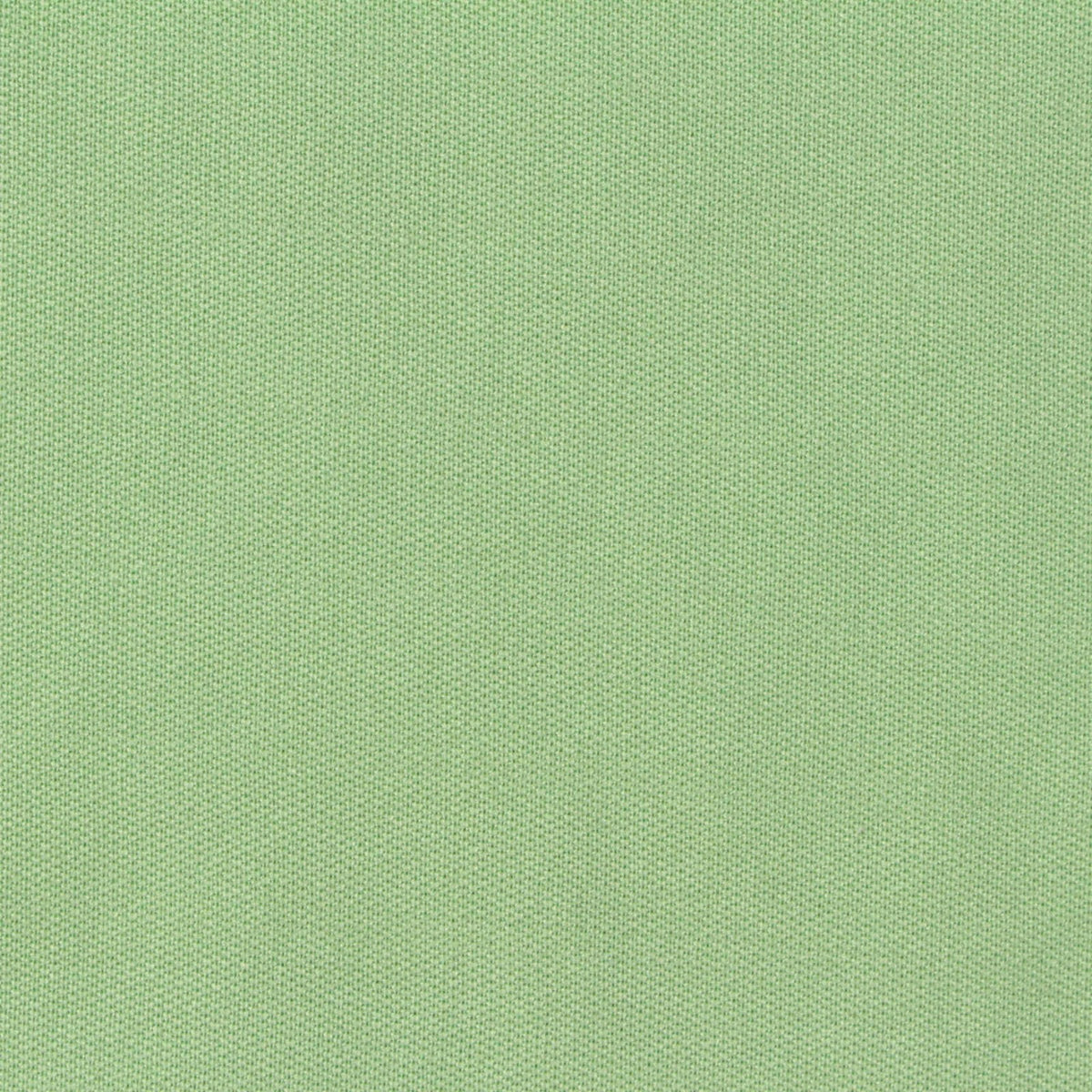 Cotton Polyester Scuba Knit Fabric, 320 gsm, 160 cm — Green