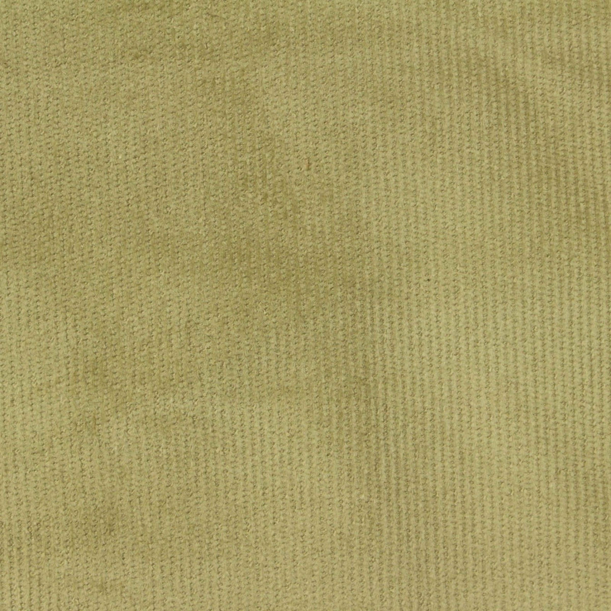 Cotton Stretch Corduroy Fabric, 295 gsm — Khaki