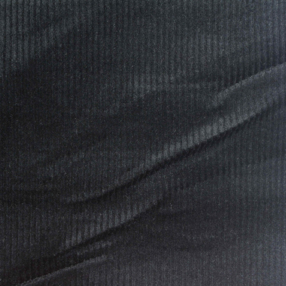 Black Corduroy, Cotton