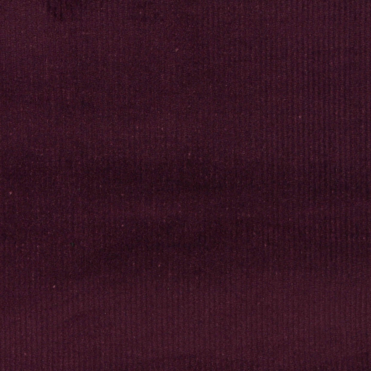 Cotton Stretch Corduroy Fabric, 285 gsm — Purple