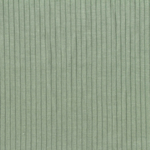 Viscose Stretch Rib Knit Fabric, 220 gsm, 140 cm — Green, ref EF-269526