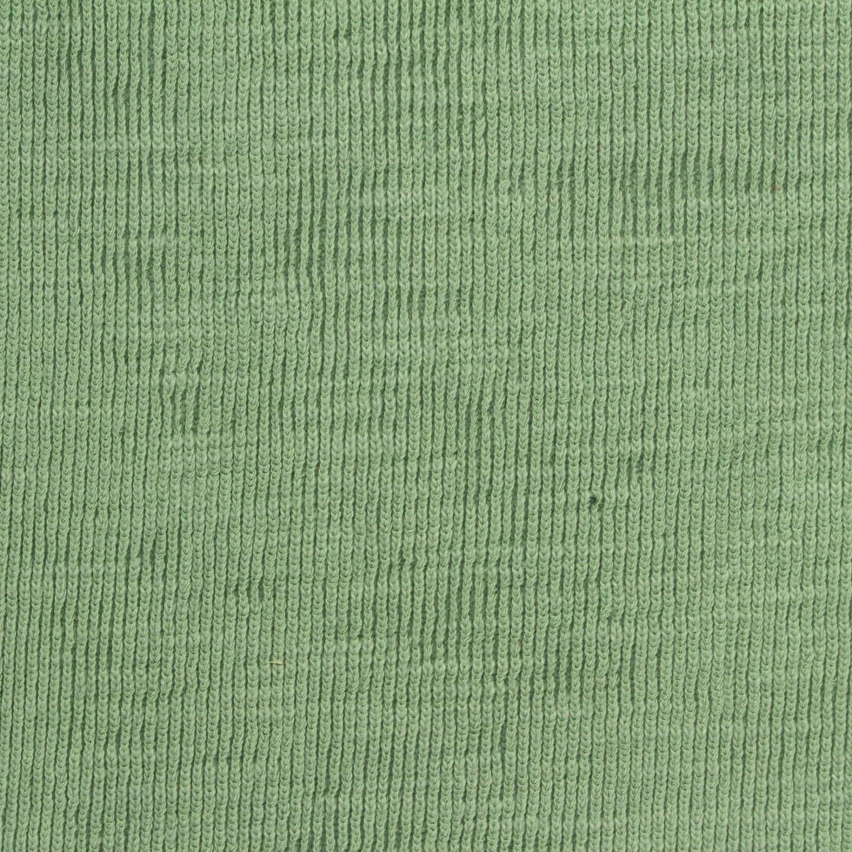 Cotton Polyester Rib Knit Fabric, 325 gsm, 156 cm — Green