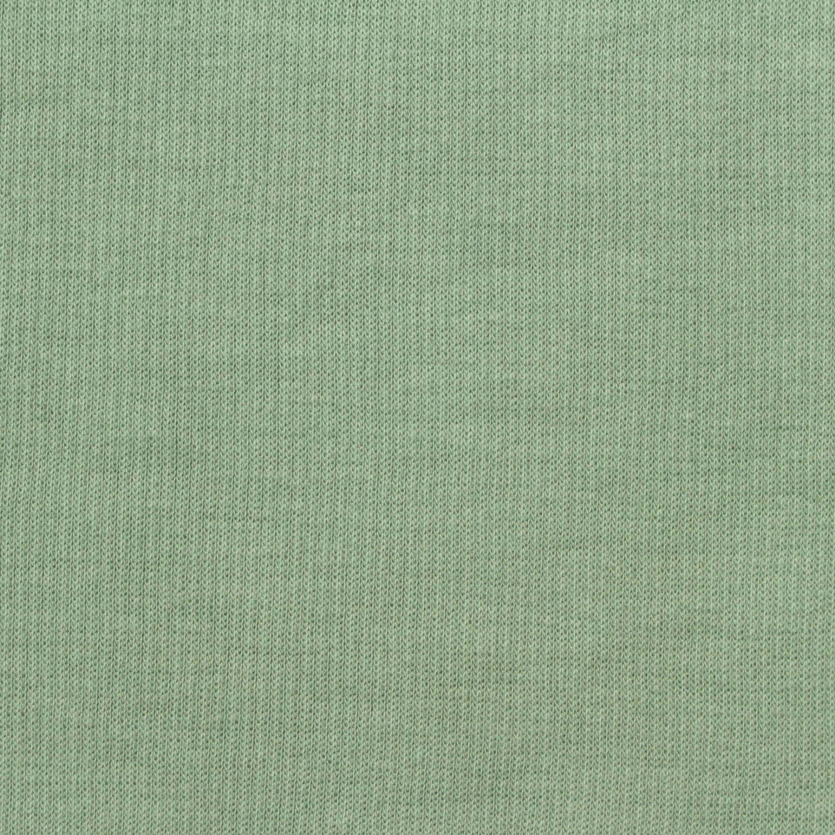 Cotton Viscose Rib Knit Fabric, 390 gsm, 166 cm — Green