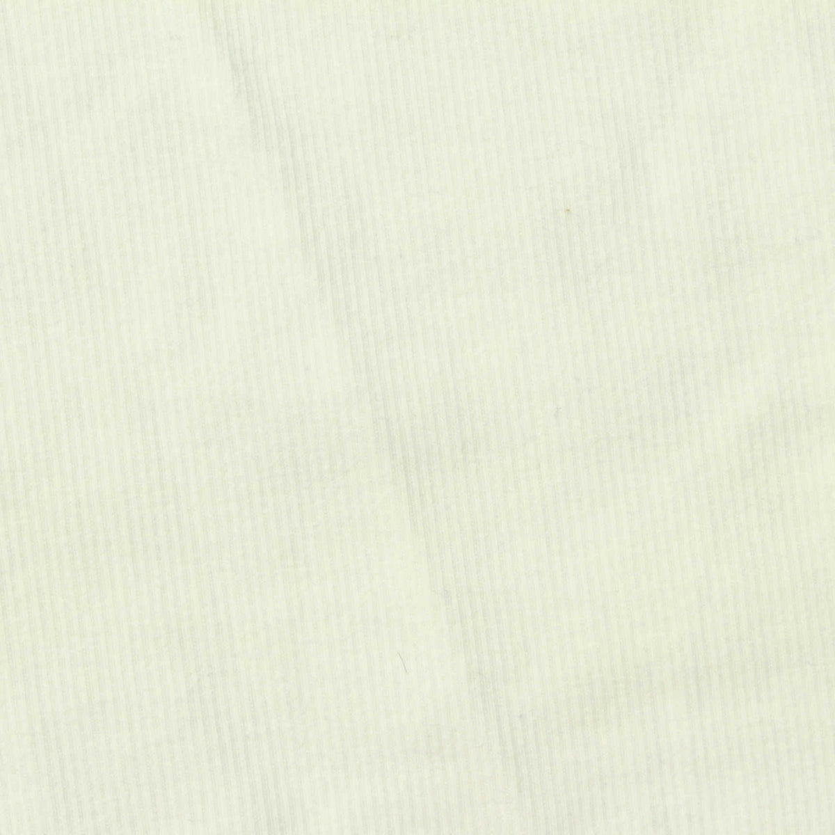 Cotton Stretch Rib Knit Fabric, 250 gsm, 120 cm — White