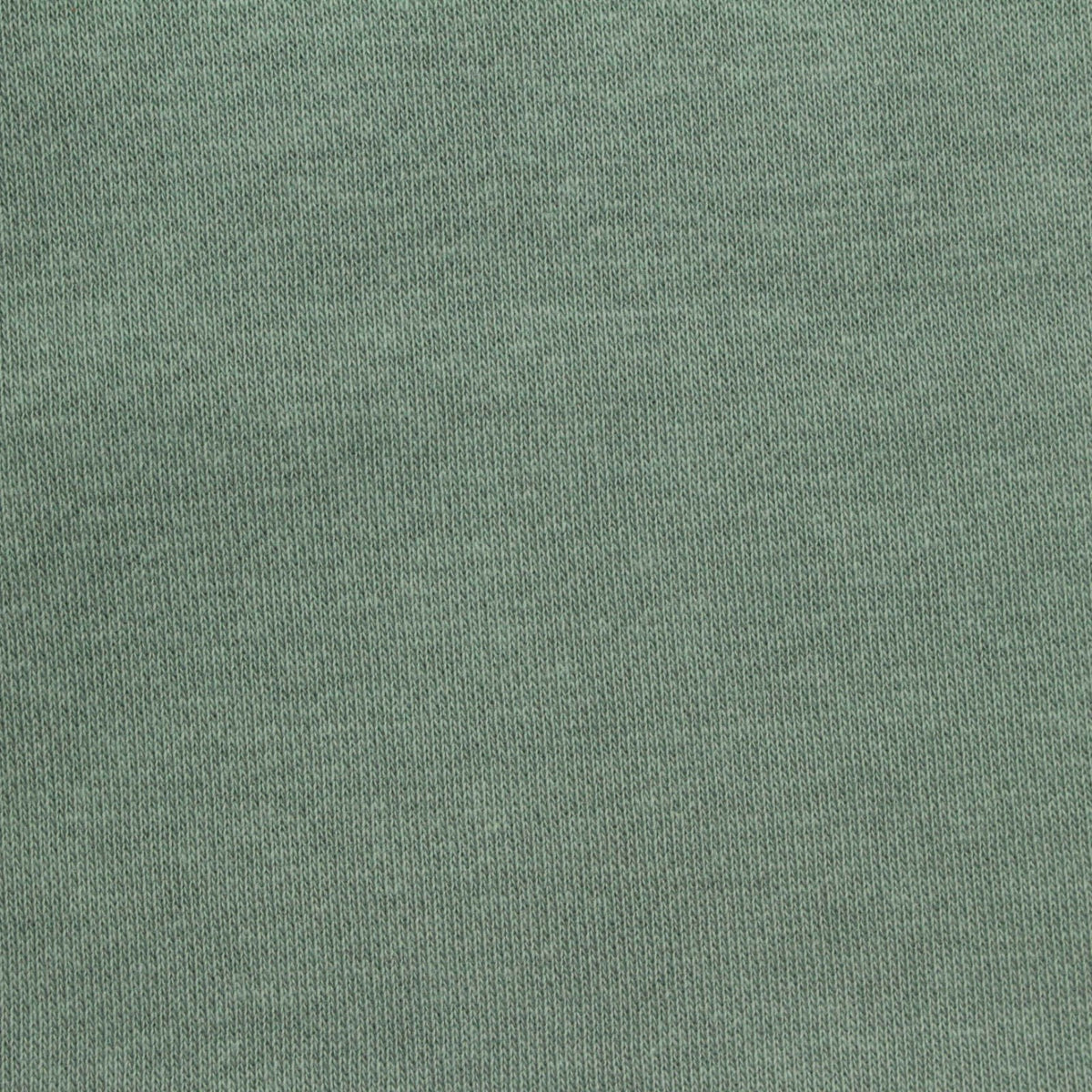 Brushed Cotton Polyester French Terry Fabric, 280 gsm, 180 cm — Green