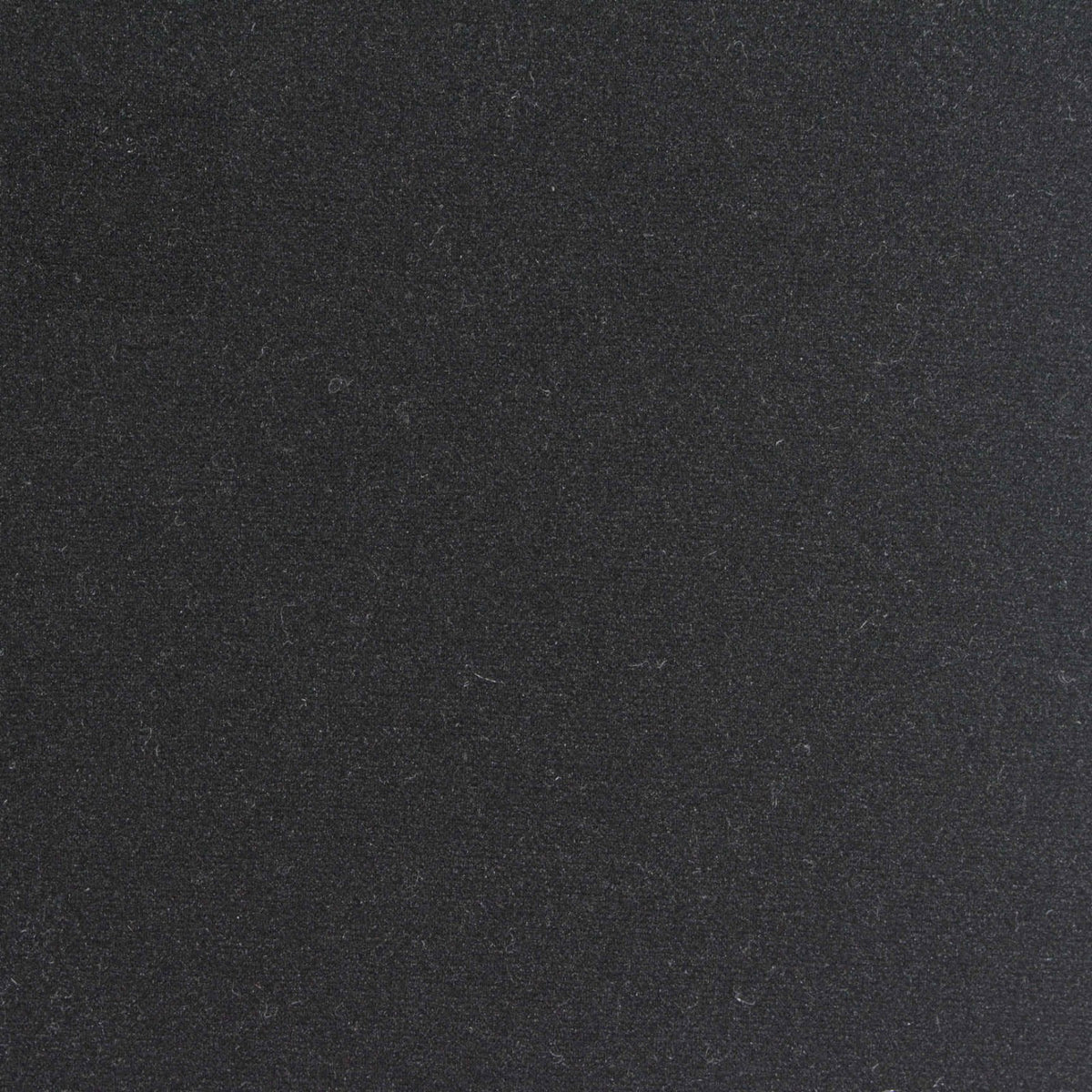 Brushed 100% Polyester Scuba Knit Fabric, 190 gsm, 160 cm — Black