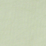 Polyester Nylon Woven Fabric, 48 gsm, 150 cm — Green — texture