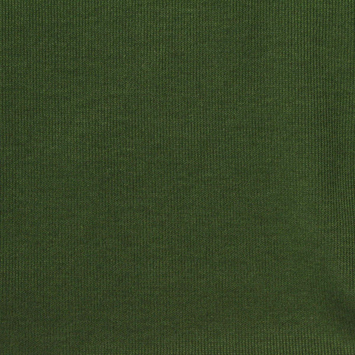 Polyester Viscose Blend Stretch Rib Knit Fabric, 170 gsm, 180 cm — Green