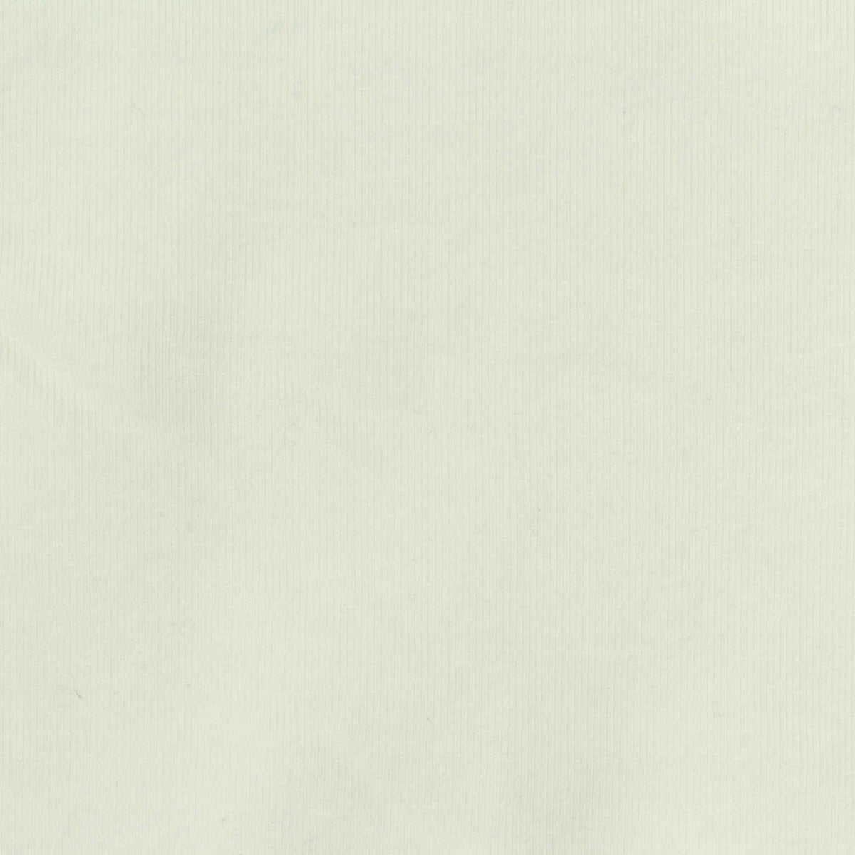 Cotton Stretch Rib Knit Fabric, 255 gsm, 172 cm — Beige