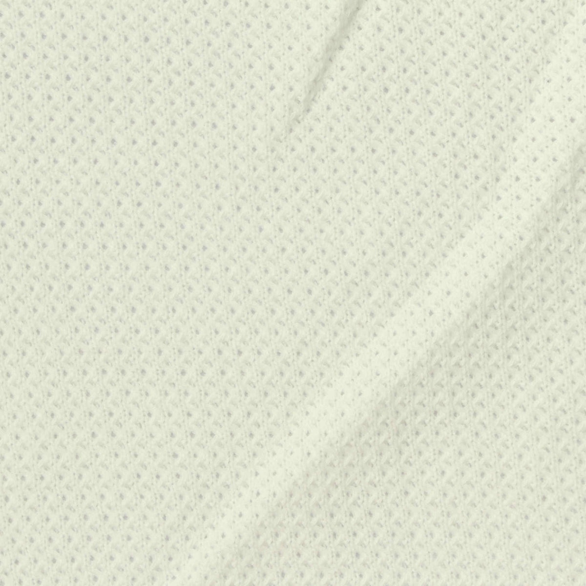 Jacquard 100% Cotton Rib Knit Fabric, 250 gsm, 150 cm — Beige