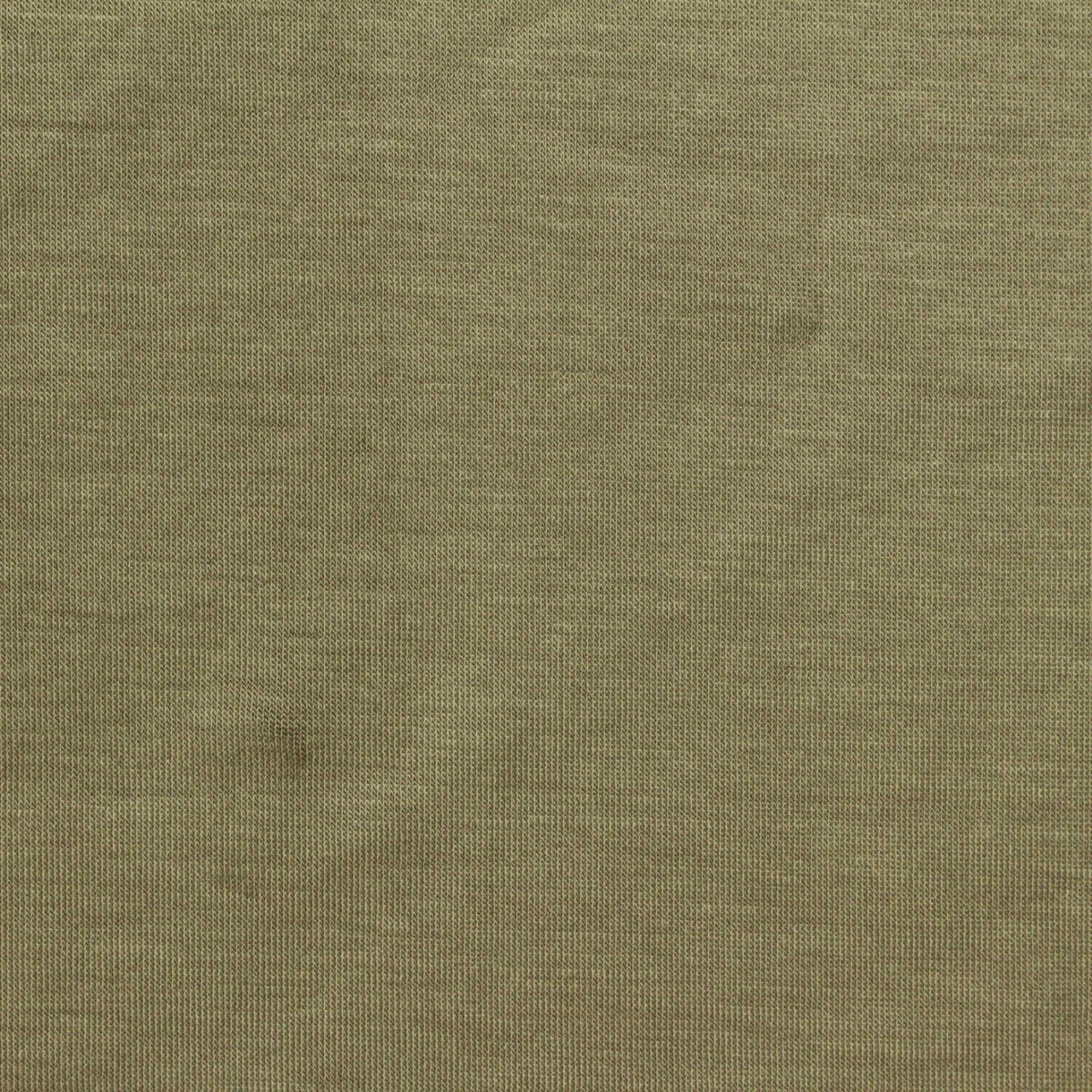 Tencel Lyocell Polyester Stretch Interlock Knit Fabric, 220 gsm, 160 cm — Khaki, ref EF-270722